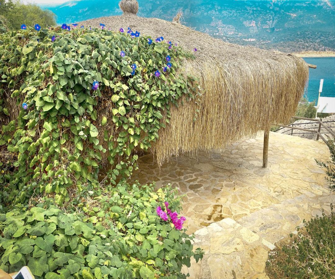 Club Hotel Barbarossa Kas Bagian luar foto