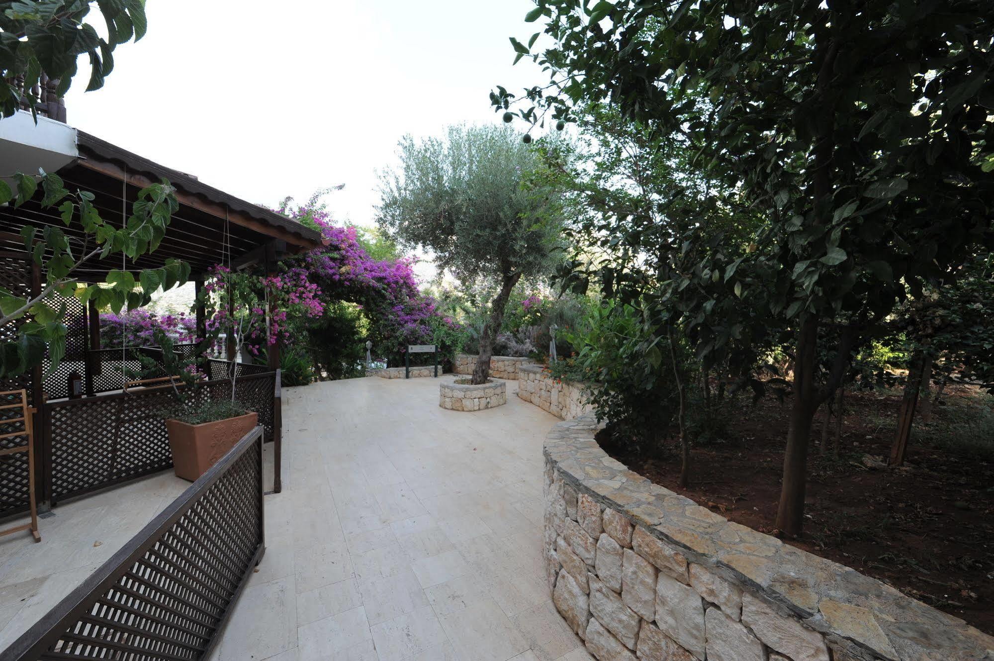 Club Hotel Barbarossa Kas Bagian luar foto